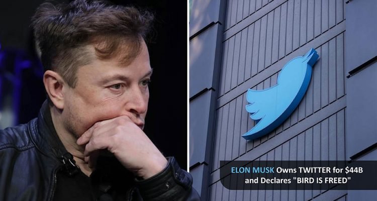 Elon Musk Owns Twitter For B And Declares Bird Is Freed