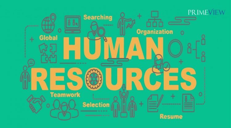 Identify Human Resource Competencies for Strategic Human Resource ...