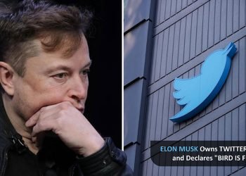 Elon Musk Owns Twitter