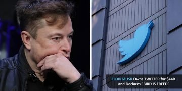 Elon Musk Owns Twitter