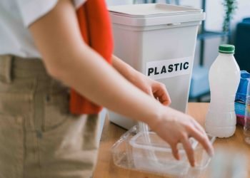 7 Green Business Ideas for Eco-Minded Entrepreneurs