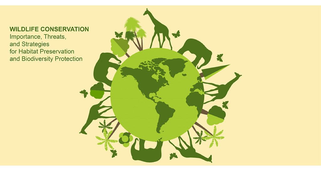 Biodiversity Conservation Importance And Conservation - vrogue.co