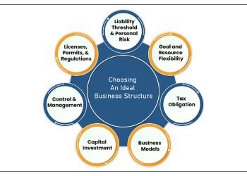 Ideal Business Structure