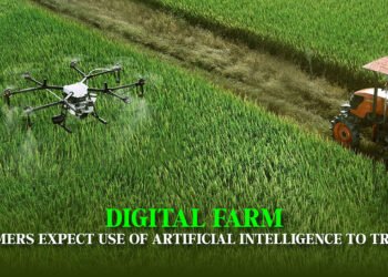 Digital Farm: Farmers Expect Use of Artificial Intelligence to Triple