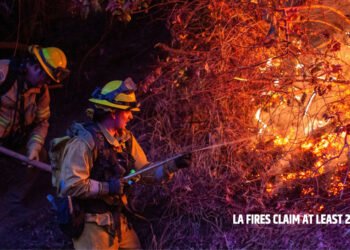 LA Fires Claim at Least 24 Lives