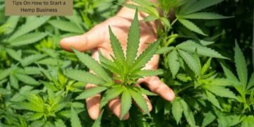 Tips On How to Start a Hemp Business