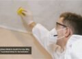 Battling Black Mold in South Florida: Why Locals Trust Mold Only for Remediation
