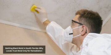 Battling Black Mold in South Florida: Why Locals Trust Mold Only for Remediation
